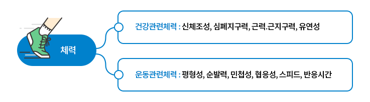 청소년 체력의 구성요소- 하단 설명 참고